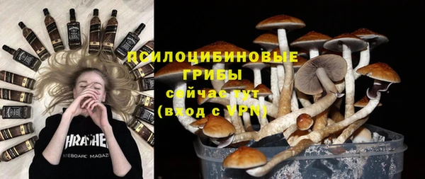 а пвп мука Абаза
