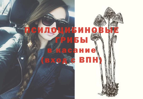 а пвп мука Абаза