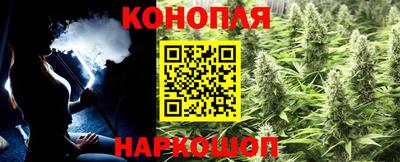 хмурый Кингисепп