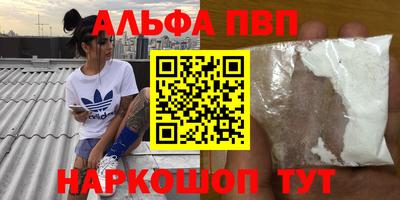 хмурый Кингисепп