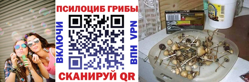 Псилоцибиновые грибы мухоморы  hydra рабочий сайт  Ялта 