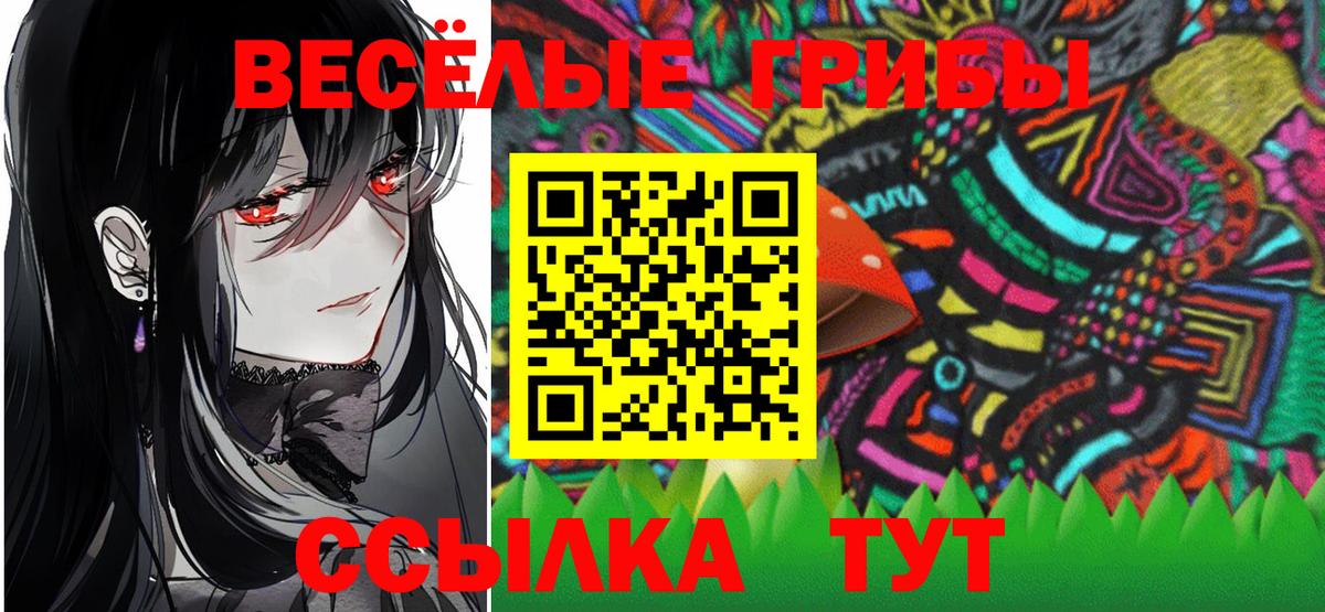 Галлюциногенные грибы Psilocybe Ялта